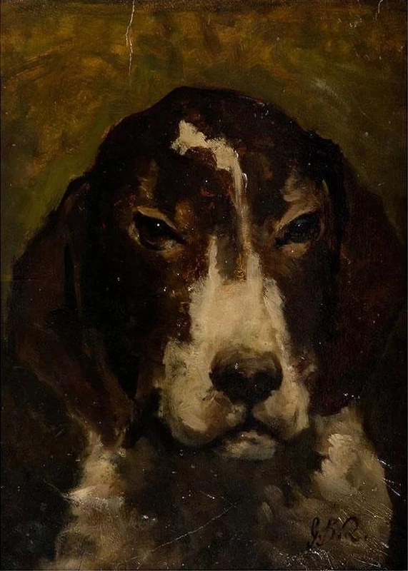 Testa di cane